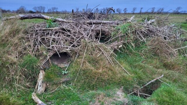 Forside fadb FADB 20241103 074931 1