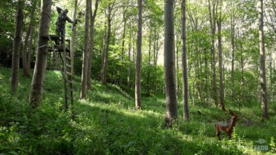 Forside fadb FADB 4Z2A3616.00 04 17 29.Still044