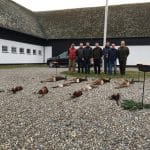 Fællesjagt med fair fordeling FADB Baldur foto fællesjagt sydsjælland 2 1