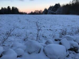 IMG_0013 FADB IMG 0013