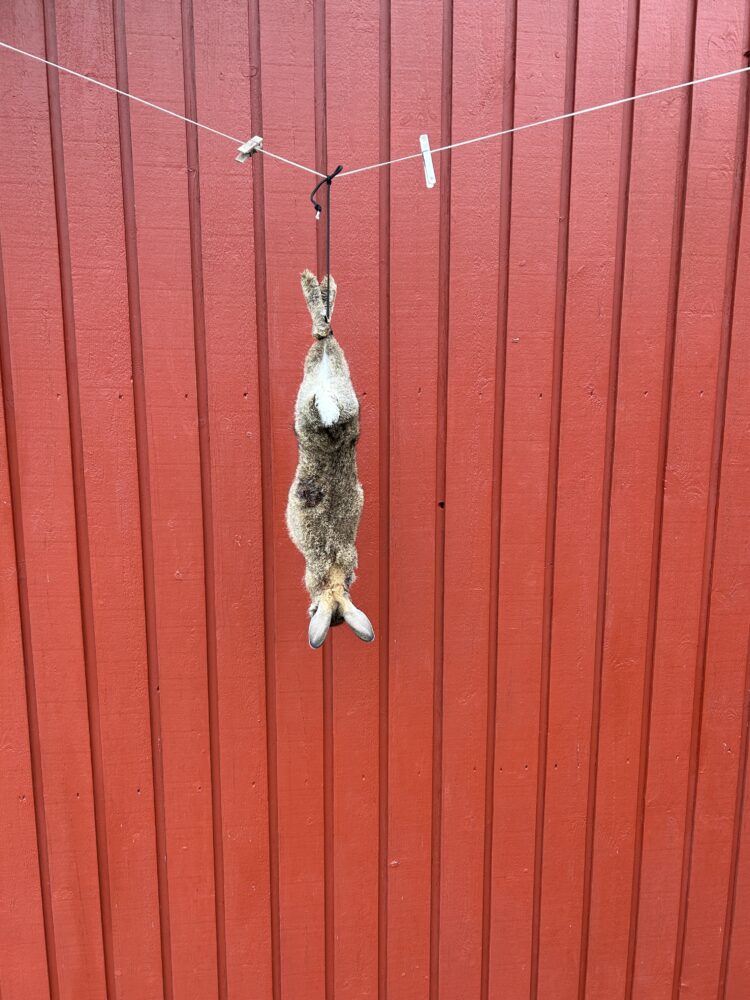 Den svære vej 3 Den svære vej FADB IMG 0681