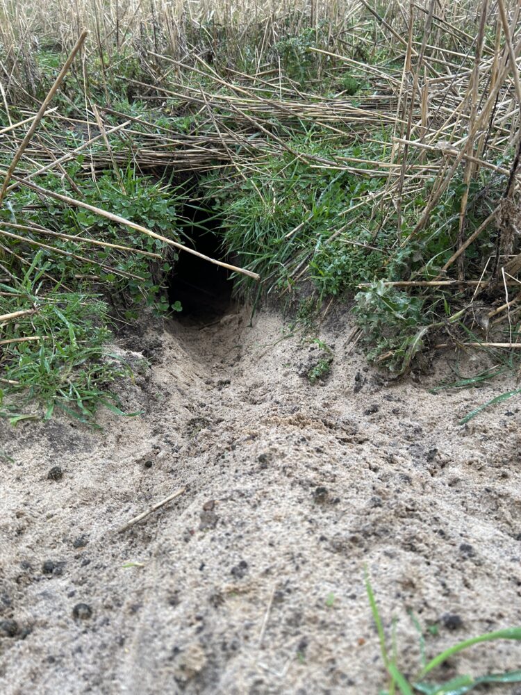 Den svære vej 5 Den svære vej FADB IMG 0691