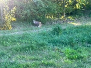 IMG_3539 FADB IMG 3539