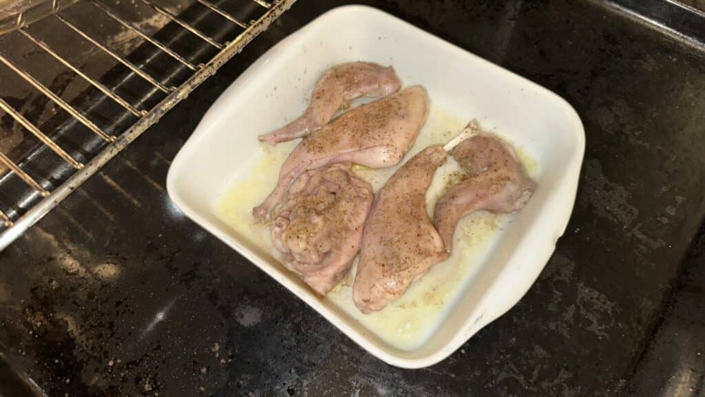 Min oplevelse fra FADBs kaninjagt på Endelave 2025 7 Min oplevelse fra FADBs kaninjagt på Endelave 2025 FADB IMG 4472 1