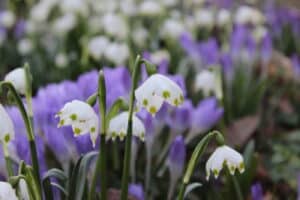 IMG_6350 FADB IMG 6350