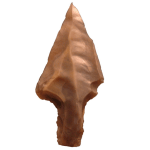cropped-Lyngbyspids1.png FADB cropped Lyngbyspids1