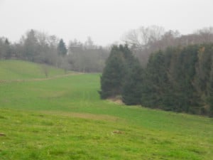 egelundjagten 028 FADB egelundjagten 028