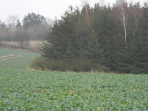 egelundjagten 033 FADB egelundjagten 033